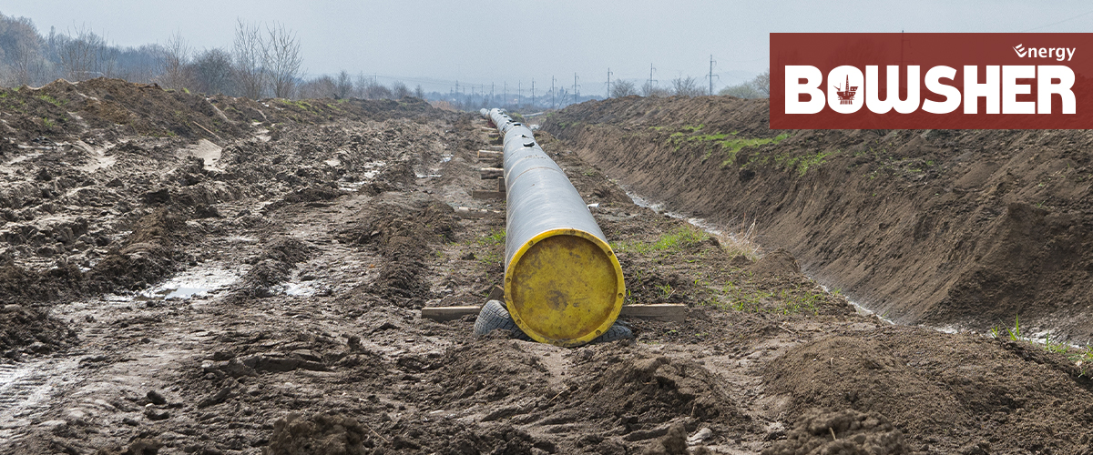 Ensuring Sustainability: Decommissioning and Abandonment